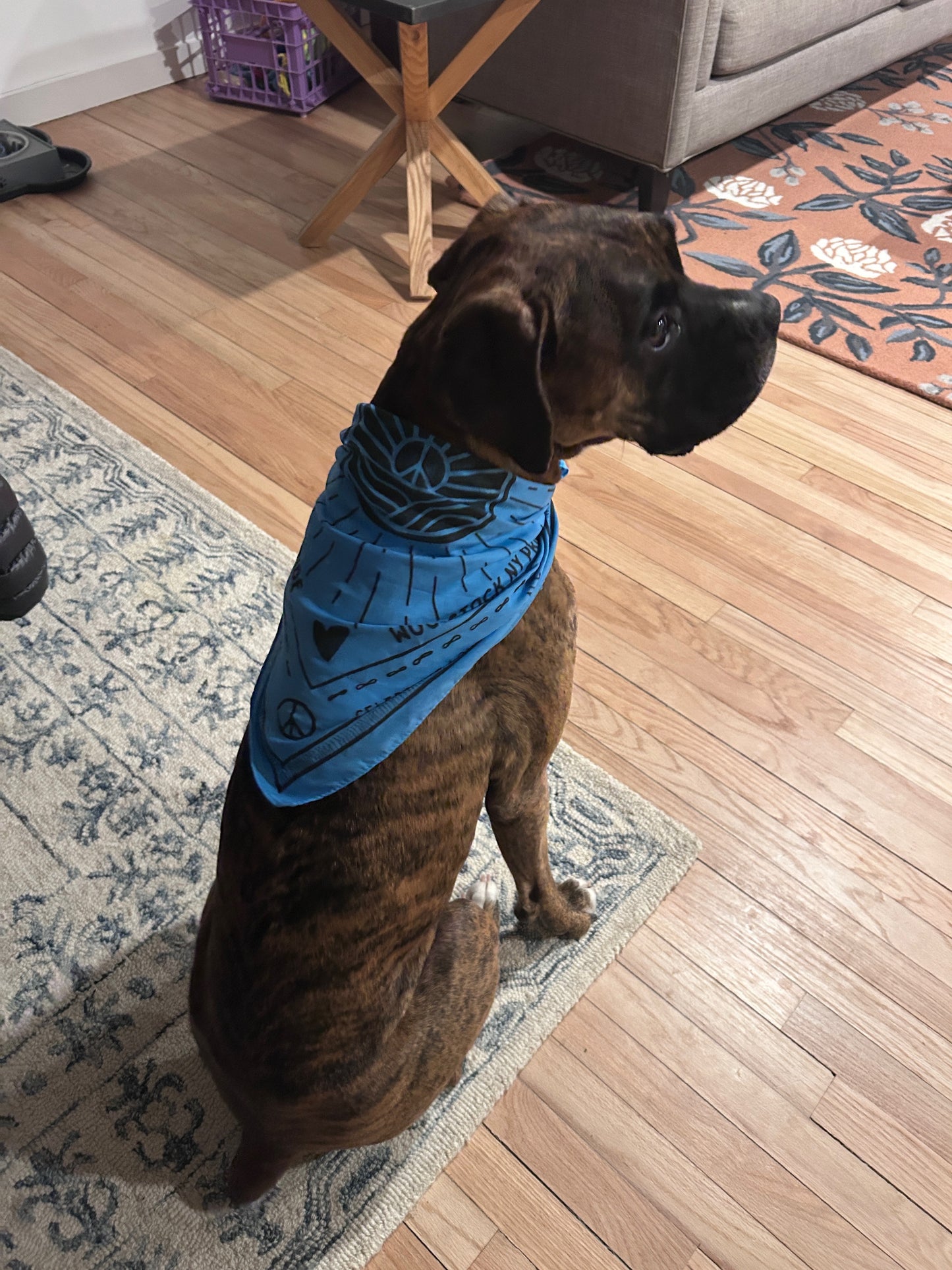 Woodstock NY Pride Bandana