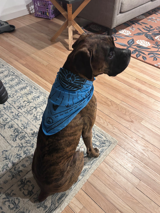 Woodstock NY Pride Bandana